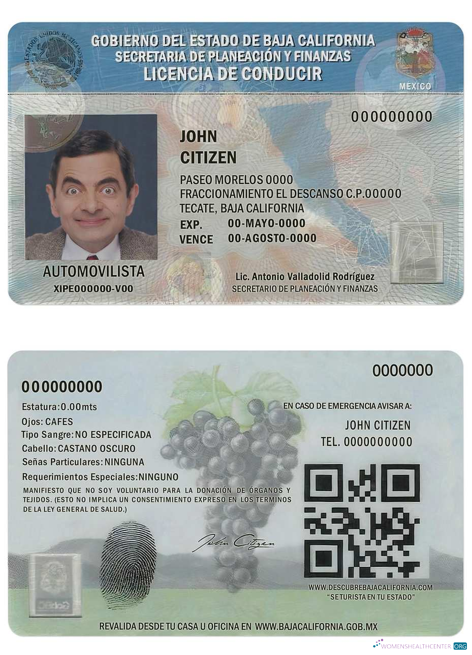 download Mexico Baja California driving license
